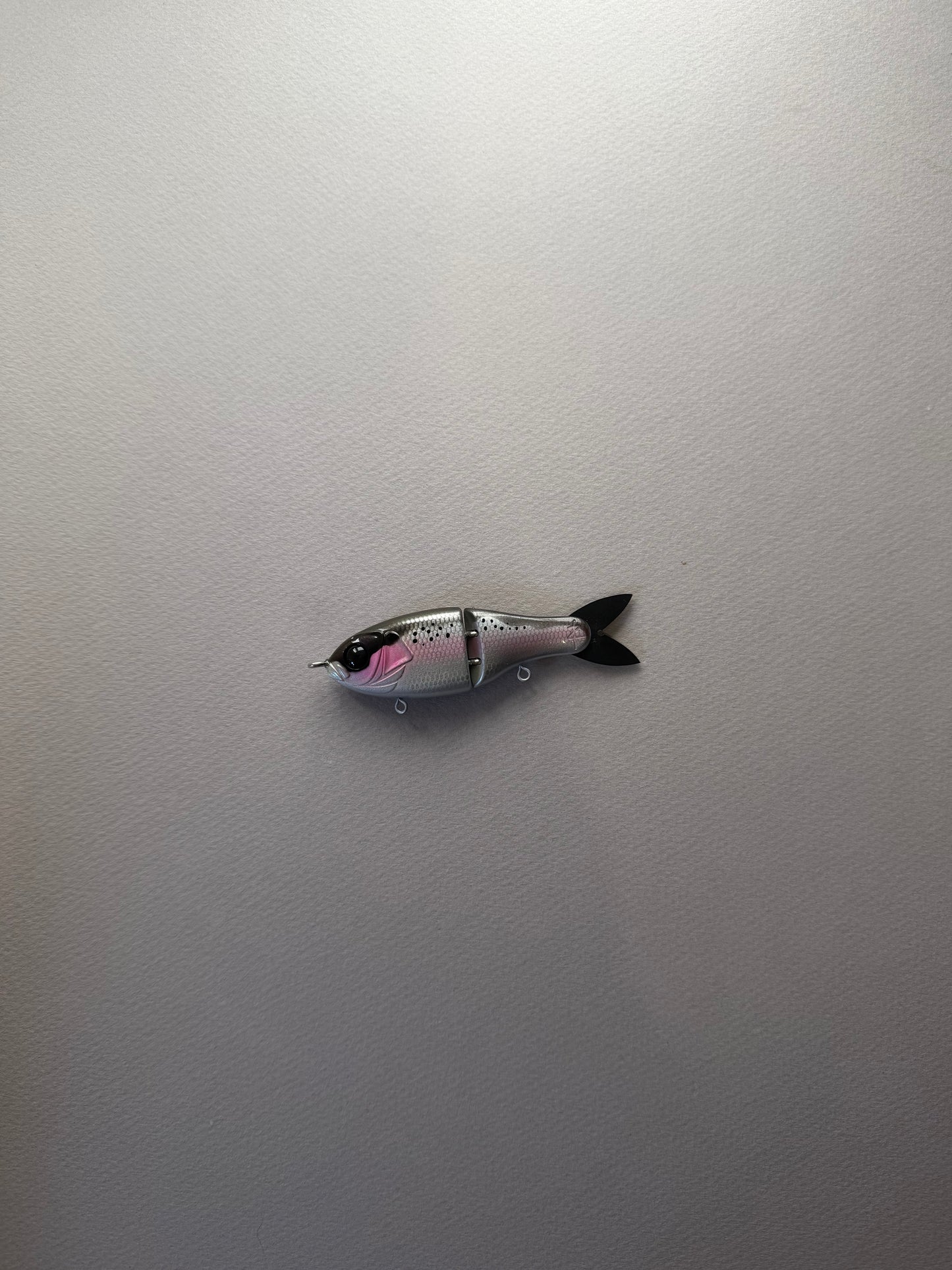 * DIME- Trout